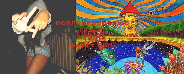 дурь Магадан